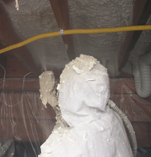 Elk Grove IL crawl space insulation