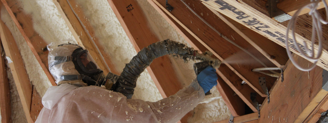 Elk Grove Illinois Attic Insulation Spray Foam